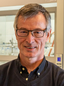 José María Lassaletta 
IIQ-CSIC (Sevilla, Spain)